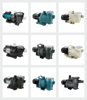 Swimming pool pump